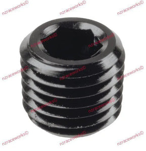 RACEWORKS NPT PLUG 1/16'' | RWF-932-01BK-NZRACEWORKS-Autoignite NZ