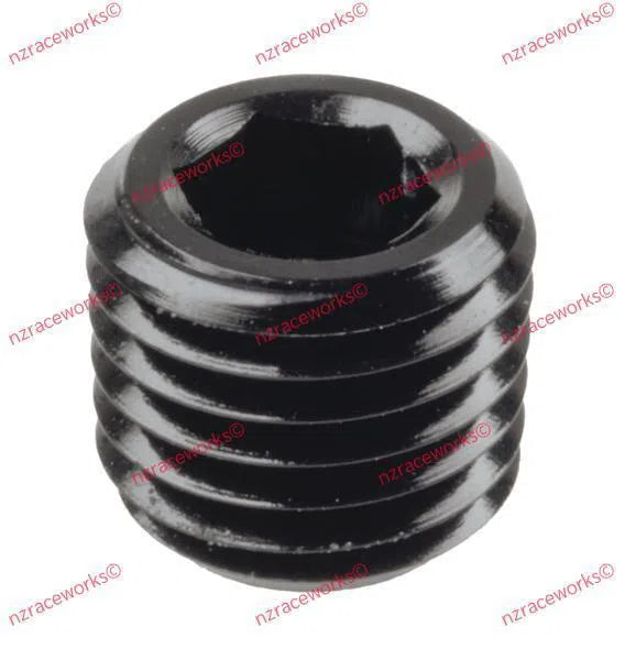 RACEWORKS NPT PLUG 1/16'' | RWF-932-01BK-NZRACEWORKS-Autoignite NZ