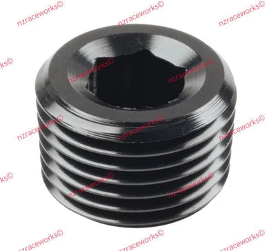 RACEWORKS NPT PLUG 1/2'' | RWF-932-08BK-NZRACEWORKS-Autoignite NZ