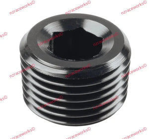 RACEWORKS NPT PLUG 1/2'' | RWF-932-08BK-NZRACEWORKS-Autoignite NZ