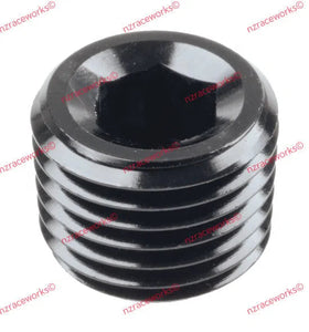 RACEWORKS NPT PLUG 1/4'' | RWF-932-04BK-NZRACEWORKS-Autoignite NZ