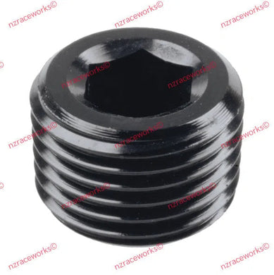 RACEWORKS NPT PLUG 1/8'' | RWF-932-02BK-NZRACEWORKS-Autoignite NZ