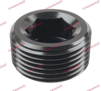 RACEWORKS NPT PLUG 3/4'' | RWF-932-12BK-NZRACEWORKS-Autoignite NZ