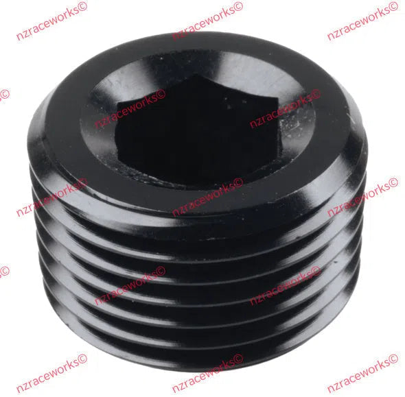 RACEWORKS NPT PLUG 3/8'' | RWF-932-06BK-NZRACEWORKS-Autoignite NZ