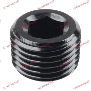 RACEWORKS NPT PLUGS-NZRW-Autoignite NZ