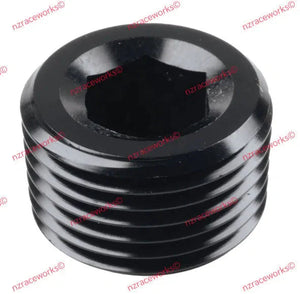 RACEWORKS NPT PLUGS-NZRW-Autoignite NZ