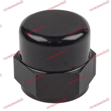 RACEWORKS NZRW METRIC CAPS | RWF-170-M12BK-NZRW-Autoignite NZ