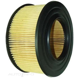 RYCO AIR FILTER | A379-RYCO-Autoignite NZ