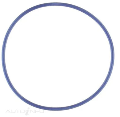 WATER PUMP GASKET FORD 5.4 | WP149-PERMASEAL-Autoignite NZ