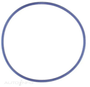WATER PUMP GASKET FORD 5.4 | WP149-PERMASEAL-Autoignite NZ