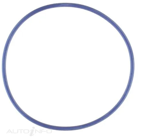 WATER PUMP GASKET FORD 5.4 | WP149-PERMASEAL-Autoignite NZ