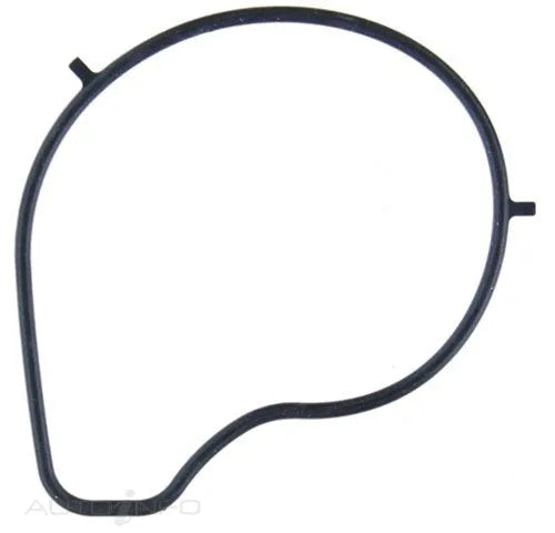 WATER PUMP GASKET MAZDA ZY | WP152-PERMASEAL-Autoignite NZ